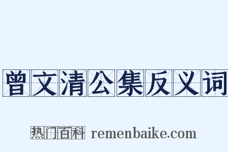 曾文清公集反义词是什么意思的图片